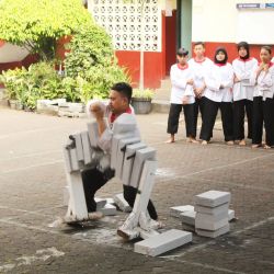 DEMO EKSKUL